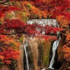 秋景彩