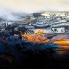 元阳梯田景彩